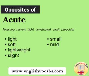 antonyms of acute|More.